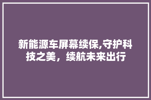 新能源车屏幕续保,守护科技之美，续航未来出行
