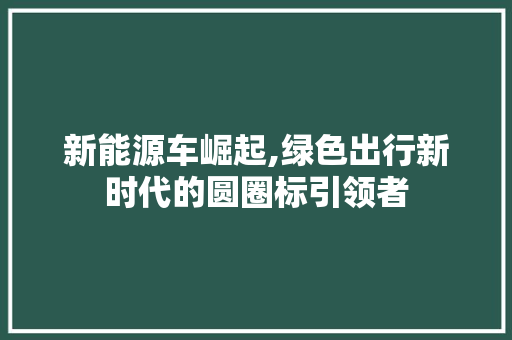 新能源车崛起,绿色出行新时代的圆圈标引领者