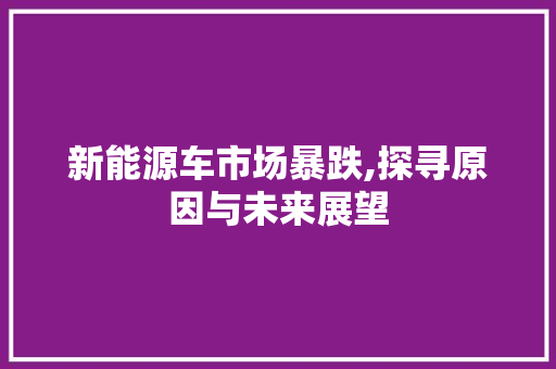 新能源车市场暴跌,探寻原因与未来展望