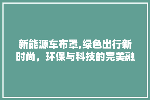 新能源车布罩,绿色出行新时尚，环保与科技的完美融合
