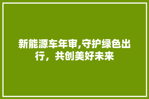 新能源车年审,守护绿色出行，共创美好未来
