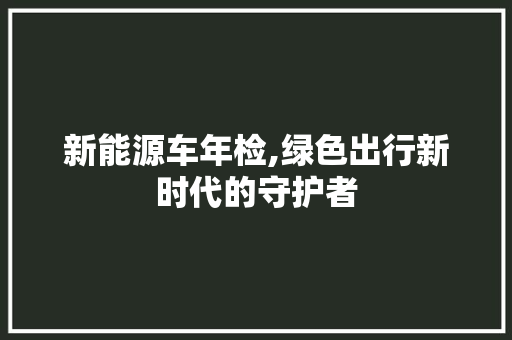 新能源车年检,绿色出行新时代的守护者