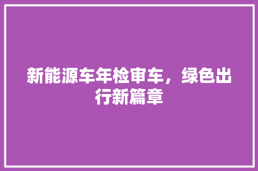 新能源车年检审车，绿色出行新篇章