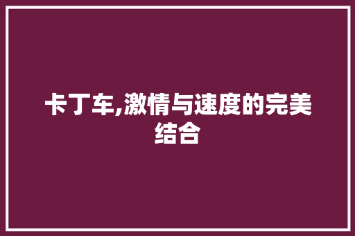 卡丁车,激情与速度的完美结合