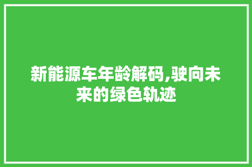 新能源车年龄解码,驶向未来的绿色轨迹