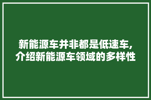 新能源车并非都是低速车,介绍新能源车领域的多样性与发展潜力