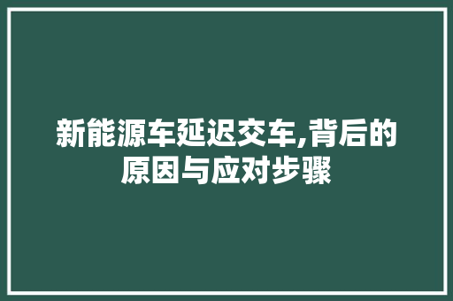 新能源车延迟交车,背后的原因与应对步骤