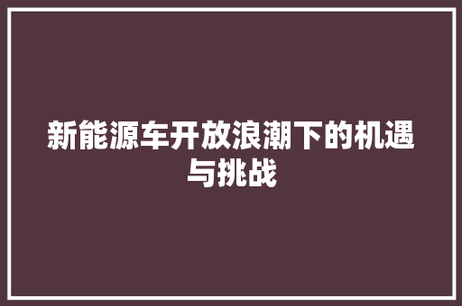 新能源车开放浪潮下的机遇与挑战