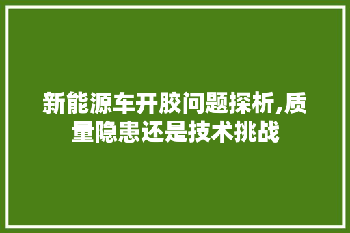 新能源车开胶问题探析,质量隐患还是技术挑战