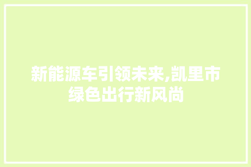 新能源车引领未来,凯里市绿色出行新风尚