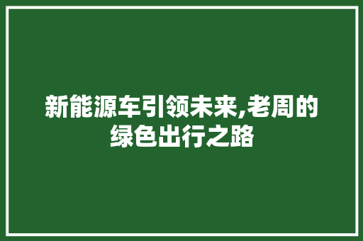 新能源车引领未来,老周的绿色出行之路