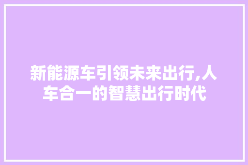 新能源车引领未来出行,人车合一的智慧出行时代