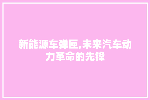新能源车弹匣,未来汽车动力革命的先锋