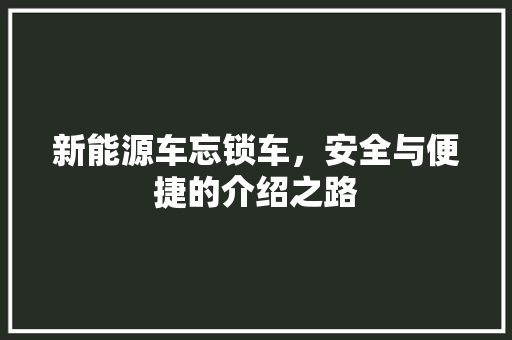 新能源车忘锁车，安全与便捷的介绍之路