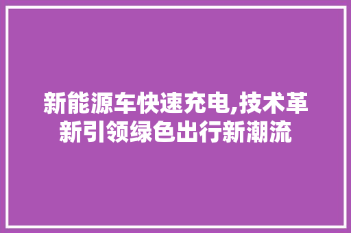 新能源车快速充电,技术革新引领绿色出行新潮流