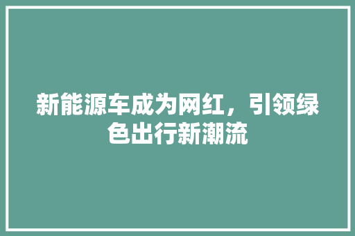 新能源车成为网红，引领绿色出行新潮流