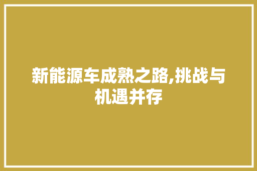 新能源车成熟之路,挑战与机遇并存