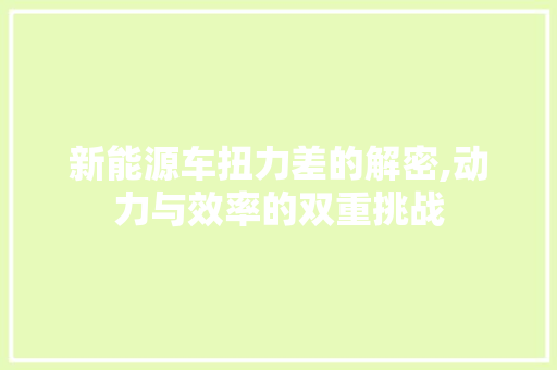 新能源车扭力差的解密,动力与效率的双重挑战