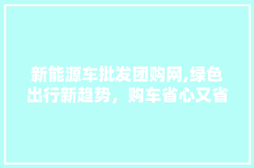 新能源车批发团购网,绿色出行新趋势，购车省心又省力