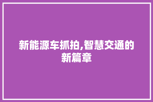 新能源车抓拍,智慧交通的新篇章