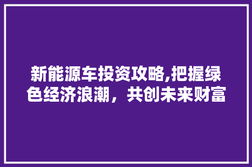 新能源车投资攻略,把握绿色经济浪潮，共创未来财富