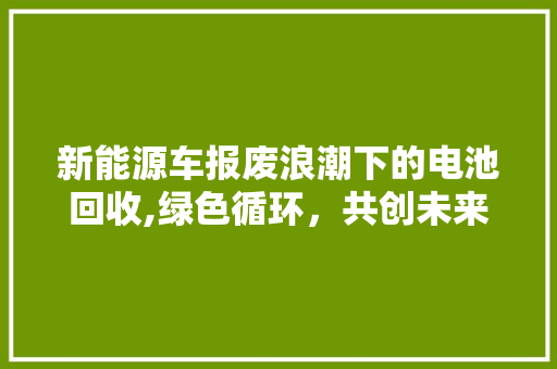 新能源车报废浪潮下的电池回收,绿色循环，共创未来