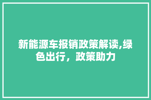 新能源车报销政策解读,绿色出行，政策助力