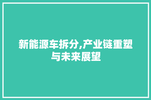 新能源车拆分,产业链重塑与未来展望