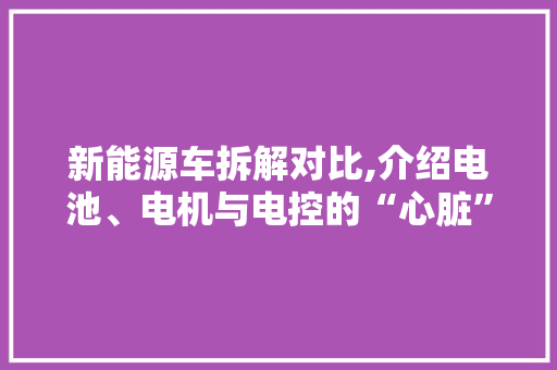 新能源车拆解对比,介绍电池、电机与电控的“心脏”之战