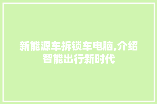 新能源车拆锁车电脑,介绍智能出行新时代