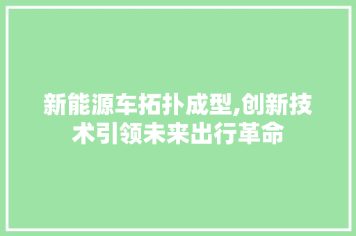新能源车拓扑成型,创新技术引领未来出行革命
