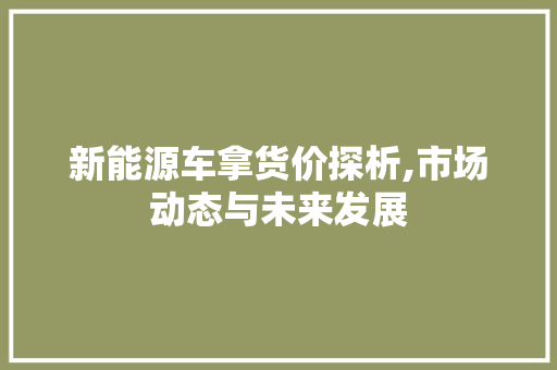 新能源车拿货价探析,市场动态与未来发展