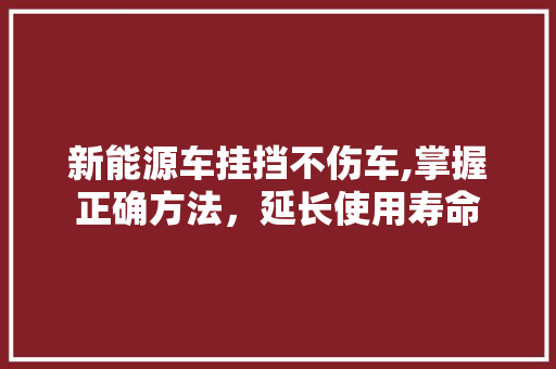 新能源车挂挡不伤车,掌握正确方法，延长使用寿命
