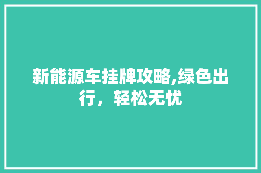 新能源车挂牌攻略,绿色出行，轻松无忧
