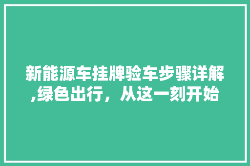 新能源车挂牌验车步骤详解,绿色出行，从这一刻开始
