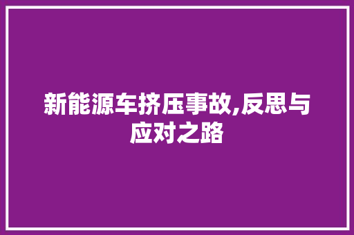 新能源车挤压事故,反思与应对之路