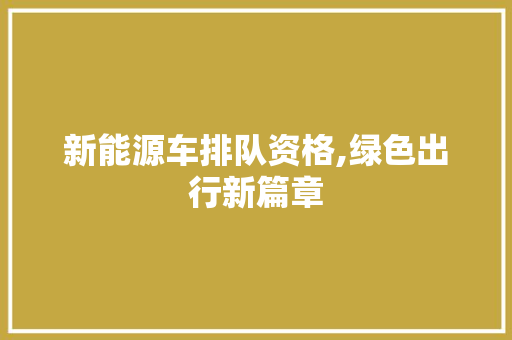 新能源车排队资格,绿色出行新篇章