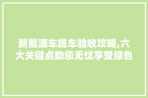 新能源车提车验收攻略,六大关键点助您无忧享受绿色出行