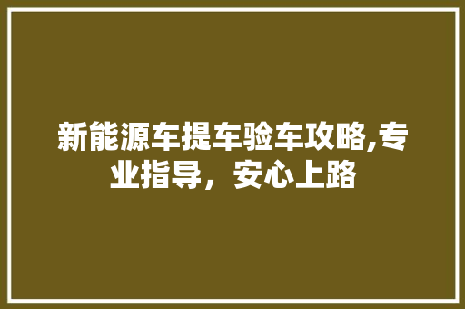 新能源车提车验车攻略,专业指导，安心上路