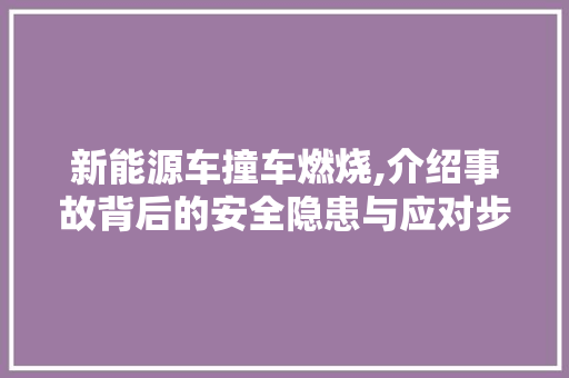 新能源车撞车燃烧,介绍事故背后的安全隐患与应对步骤