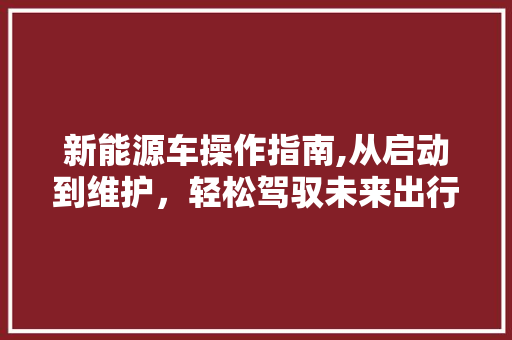 新能源车操作指南,从启动到维护，轻松驾驭未来出行