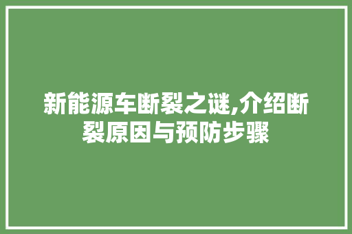 新能源车断裂之谜,介绍断裂原因与预防步骤 蓄电池配件