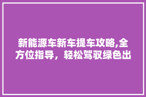 新能源车新车提车攻略,全方位指导，轻松驾驭绿色出行