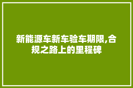 新能源车新车验车期限,合规之路上的里程碑