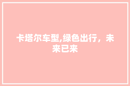 卡塔尔车型,绿色出行，未来已来
