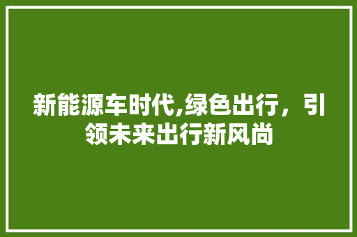 新能源车时代,绿色出行，引领未来出行新风尚