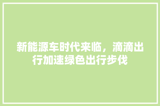 新能源车时代来临，滴滴出行加速绿色出行步伐