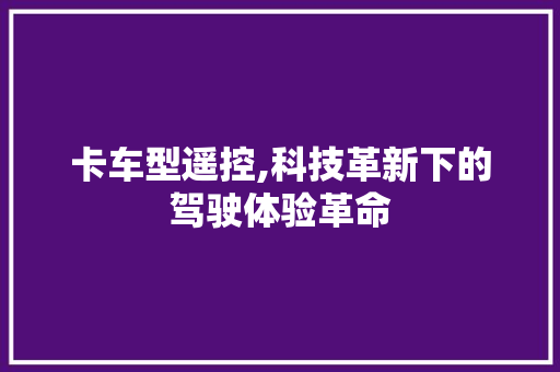 卡车型遥控,科技革新下的驾驶体验革命