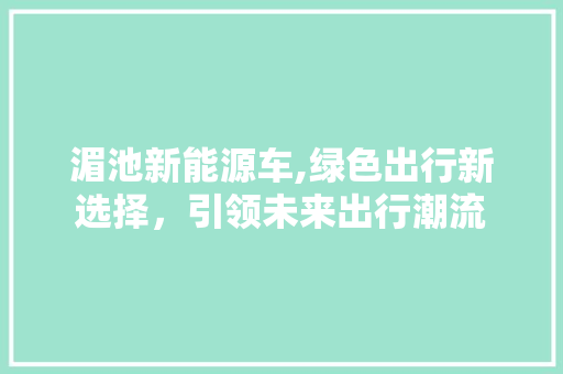 湄池新能源车,绿色出行新选择，引领未来出行潮流