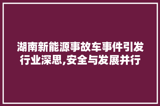 湖南新能源事故车事件引发行业深思,安全与发展并行之路在何方